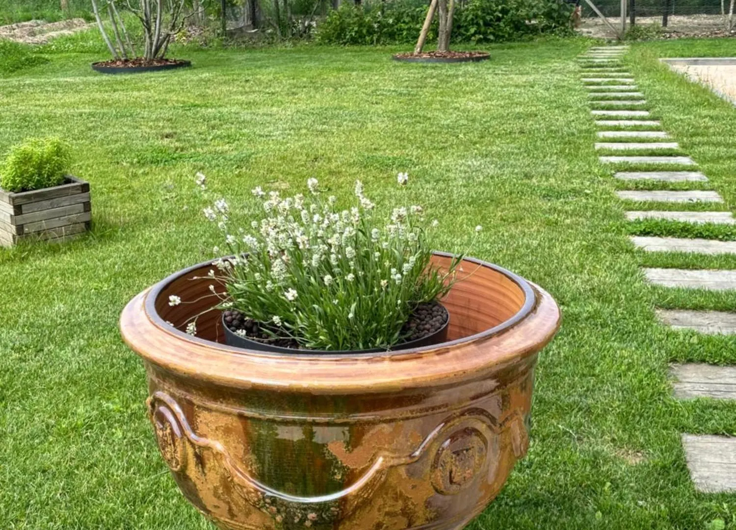 Bed and Breakfast Le Domaine Du Pin Châtillon-sur-Chalaronne 0*,  Francia